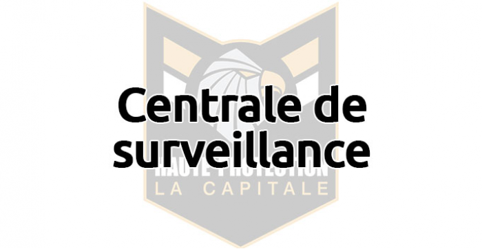 Ville de Montréal et Québec, Protection Patrimoine (PPP), Centrale de surveillance, Système de sécurité, Investigation, Filature, Sécurité d'événements, protection des personnes