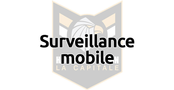 Ville de Montréal et Québec, Protection Patrimoine (PPP), Centrale de surveillance, Système de sécurité, Investigation, Filature, Sécurité d'événements, protection des personnes